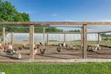 602 Baron Drive - Photo 45