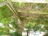 220 Moultrie Square - Photo 43