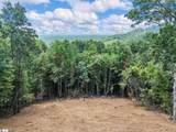 222 Bird Mountain Ridge Road - Photo 48
