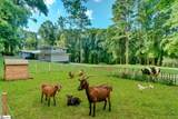 103 Forest Hills Drive - Photo 47