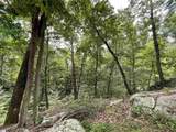 0 Pine Shadow Lane - Photo 1