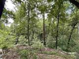 0 Pine Shadow Lane - Photo 3