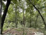 0 Pine Shadow Lane - Photo 5
