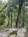 0 Pine Shadow Lane - Photo 7