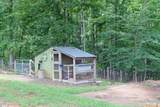 831 Tubbs Mt Road - Photo 31