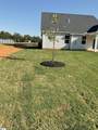 113 Eagle Creek Drive - Photo 18