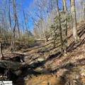 0 Chestnut Ridge Road - Photo 4