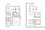 116 Tiger Lily Drive - Photo 10
