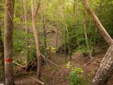 01 Neal Shoals Road - Photo 42