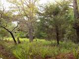 02 Neal Shoals Road - Photo 41