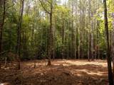 02 Neal Shoals Road - Photo 45