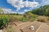 223 Chestnut Springs Way - Photo 46