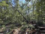 1282 Cobb Bridge Road - Photo 4