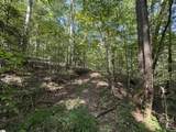 1282 Cobb Bridge Road - Photo 9