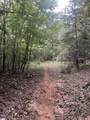 2109 Riddle Road - Photo 8