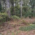 0 Dogwood Circle - Photo 4