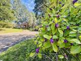 302 Chestnut Street - Photo 45