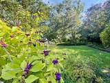 302 Chestnut Street - Photo 46