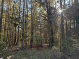 4 Horseshoe Point Drive - Photo 12