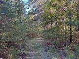 4 Horseshoe Point Drive - Photo 13