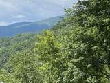 1671 Hogback Mountain Road - Photo 7