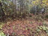 00 Beech Springs Road - Photo 4