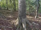499 Acker Road - Photo 5