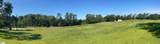 00 Mckittrick Bridge Road - Photo 14