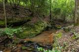 TBD Colony Lane - Photo 8