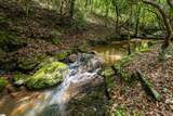 TBD Colony Lane - Photo 10