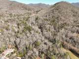 912 Hidden Hollow Trail - Photo 12