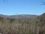 Tracts 34,35,36 Curts Way - Photo 7