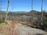 Tracts 34,35,36 Curts Way - Photo 16