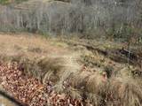 Tracts 34,35,36 Curts Way - Photo 17