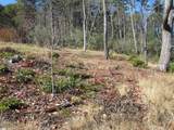 Tracts 34,35,36 Curts Way - Photo 19