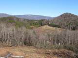 Tracts 34,35,36 Curts Way - Photo 21