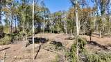 0 Antreville Highway - Photo 23