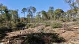 0 Antreville Highway - Photo 9