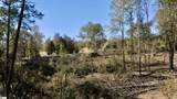 0 Antreville Highway - Photo 12