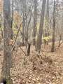 00 Harris Springs Road - Photo 10