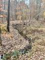 00 Harris Springs Road - Photo 7