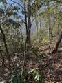 TBD Woodbine Road - Photo 6