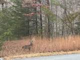 00 Jackson Cove Road - Photo 17