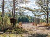 09 Mill Pine Road - Photo 11