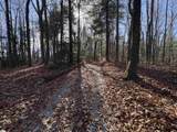 10 Rhetts Ridge - Photo 4