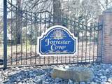 106 Plum Creek Lane - Photo 49