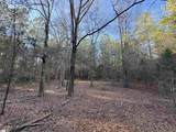 6620 Liberty Highway - Photo 13