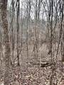509 Crowe Creek Road - Photo 4