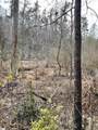 509 Crowe Creek Road - Photo 9