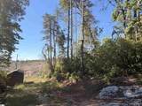 309 Knox Creek Road - Photo 3